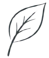 Sustainable production